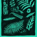 02_Postal_linternasybosques_10.0x15.0 cm