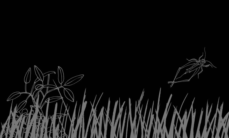 libro negro tecolote-1