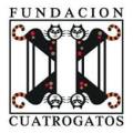 fundacion cuatrogatos