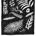 02_Postal_linternasybosques_10.0x15.0 cm