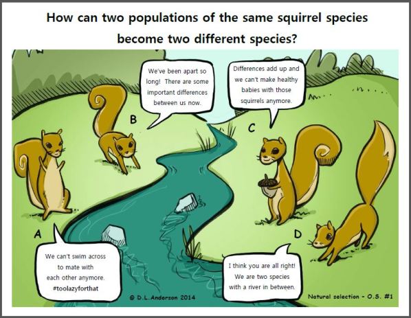 Ardillas kaiserscience.wordpress.com