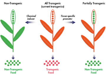 Reproducción asistida
