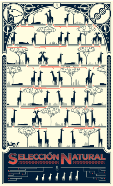 Selección natural