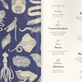 Animalium 3