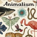 Animalium; Katie Scott; Jenny&nbsp;Broom