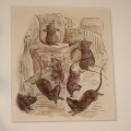 Beatrix Potter ilustraciones de El&nbsp;sastre