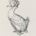 Bocetos de Beatrix&nbsp;Potter