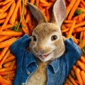 Peter rabbit