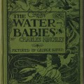 The Water Babies