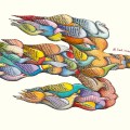 El coloquio de los pajaros ilustraciones&nbsp;int
