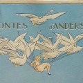 Los cisnes salvajesi. ILUSTRACIIÓN&nbsp;copia