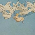 Los cisnes salvajesi.&nbsp;ILUSTRACIIÓN