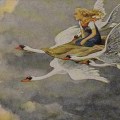 Wild-Swans-by-Paul-Hey-1939 copia 2