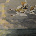 Wild-Swans-by-Paul-Hey-1939