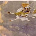 Wild Swans Paul&nbsp;Hey